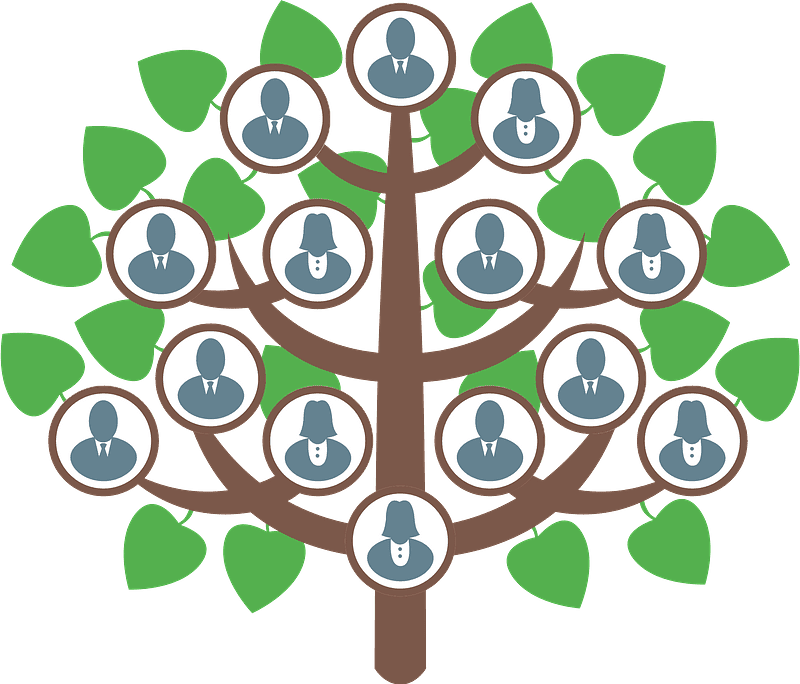 Family Tree clipart transparent free