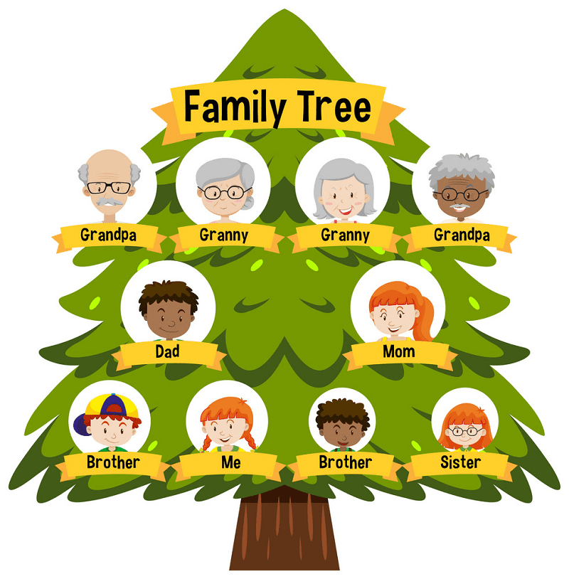 Free Family Tree clipart png