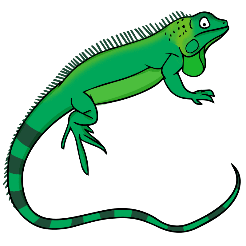 Free Iguana clipart picture