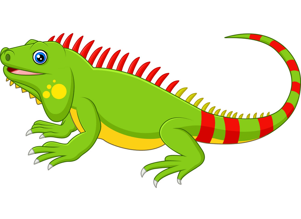 Iguana clipart 8