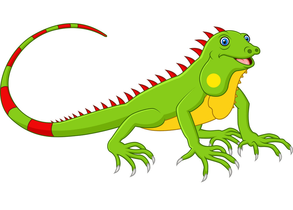 Iguana clipart png download