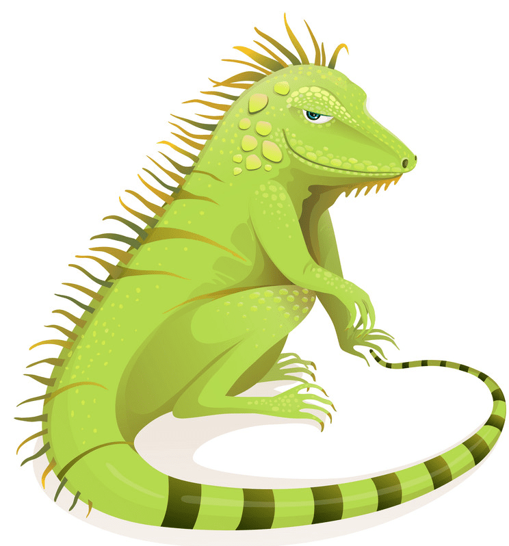 Iguana clipart png for kids