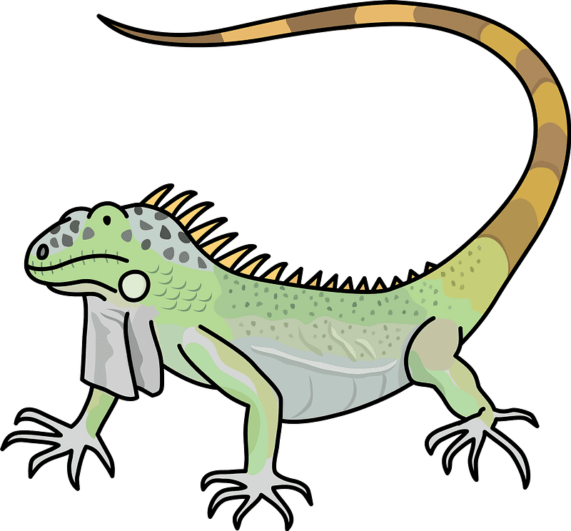 Iguana clipart transparent background