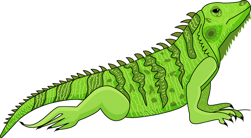 Iguana clipart transparent free
