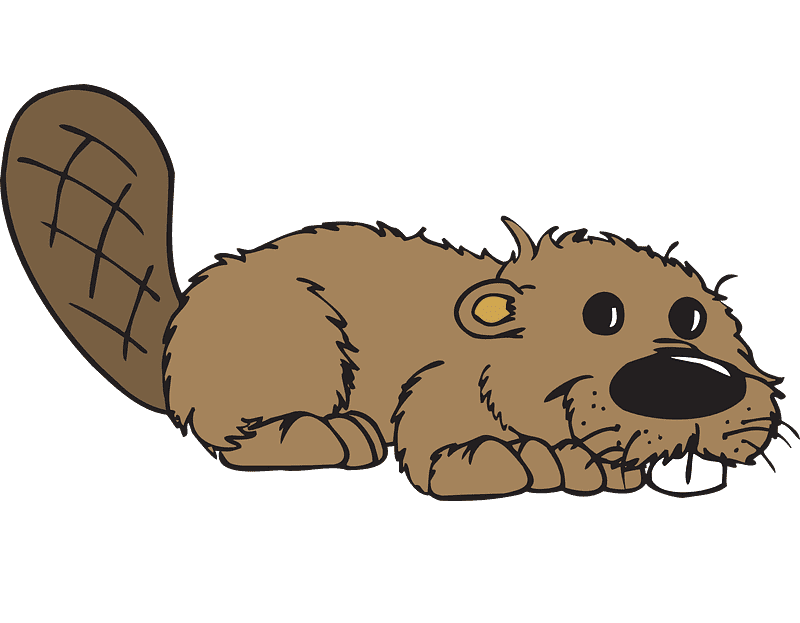 Beaver clipart download