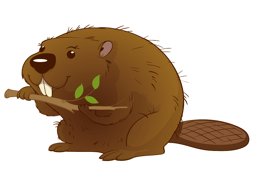 Beaver clipart for free