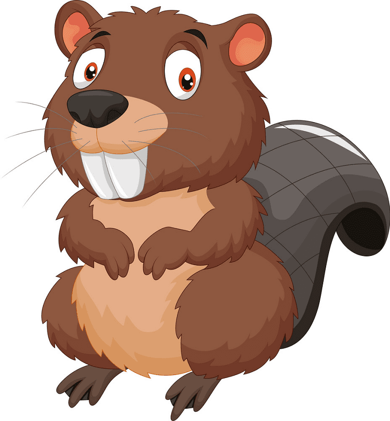 Beaver clipart free picture