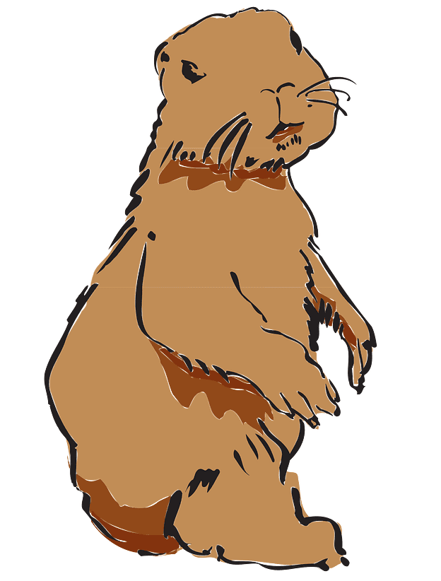 Beaver clipart free