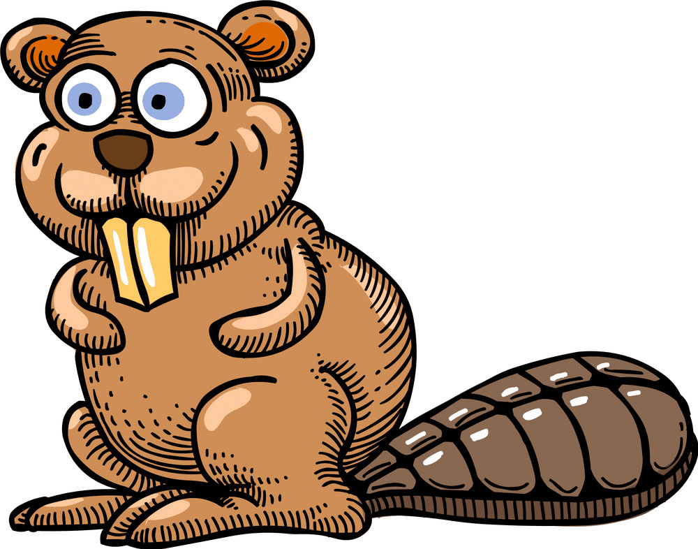 Beaver clipart png download