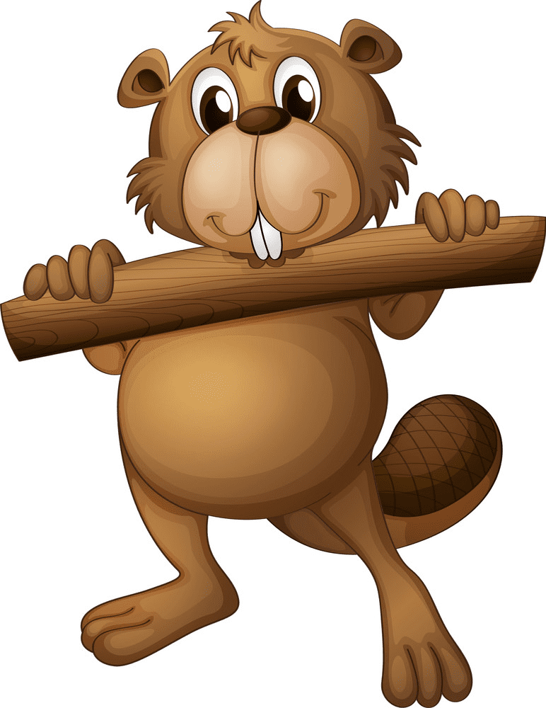 Beaver clipart png images