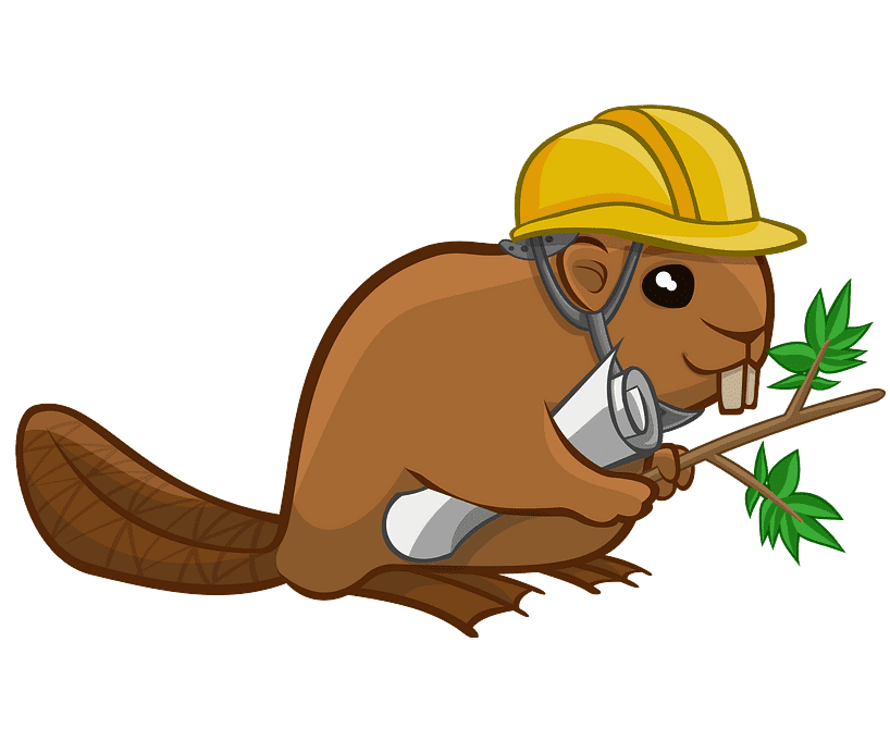 Beaver clipart png