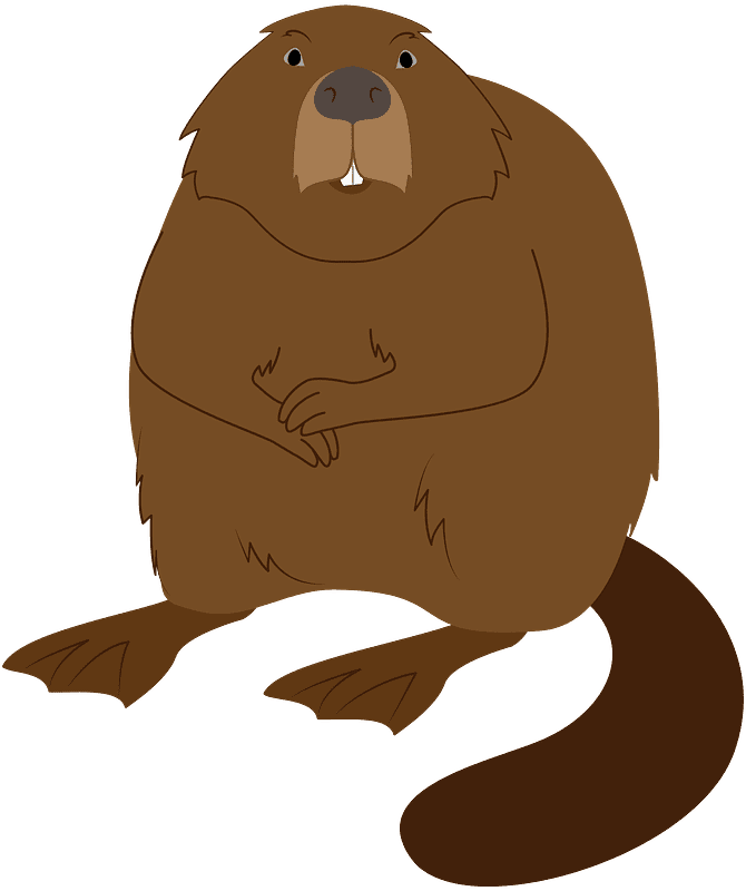 Beaver clipart transparent for free