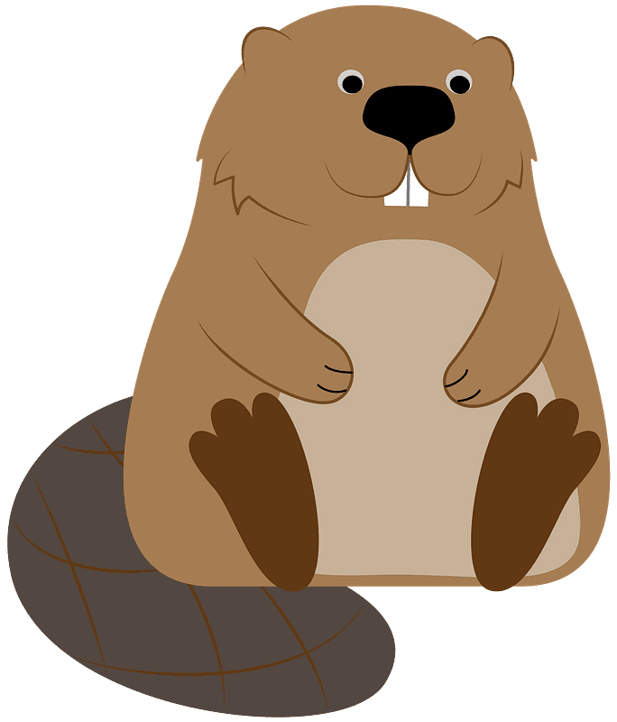 Beaver clipart transparent free