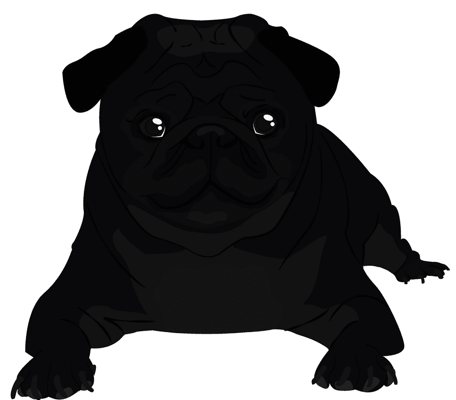 Black Pug clipart for free