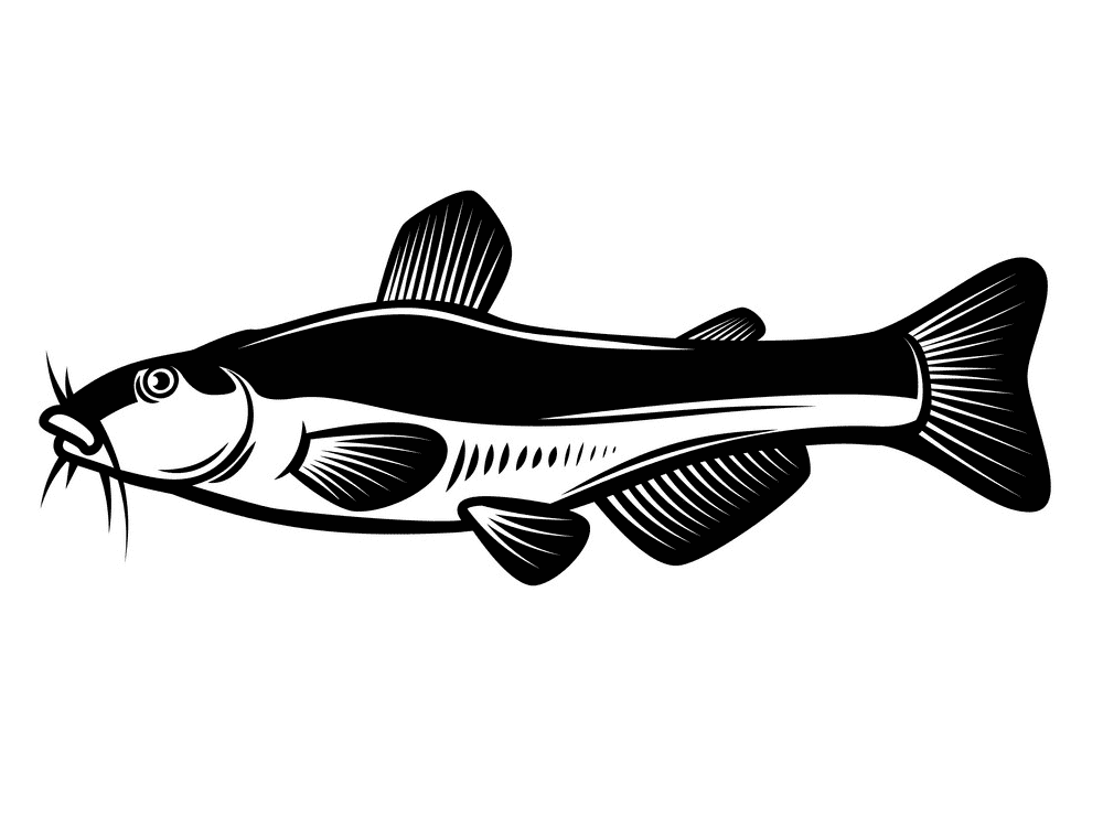 Catfish Clipart Black and White 3