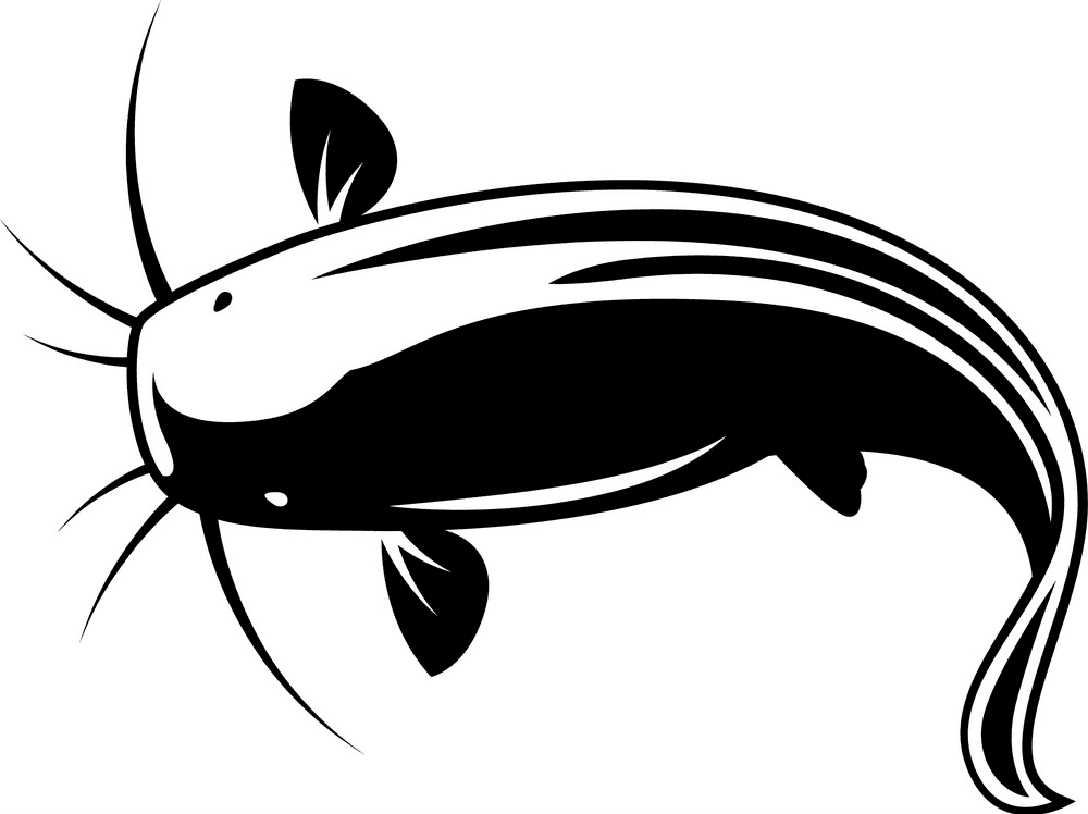 Catfish Clipart Black and White 4