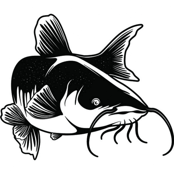 Catfish Clipart Black and White 7