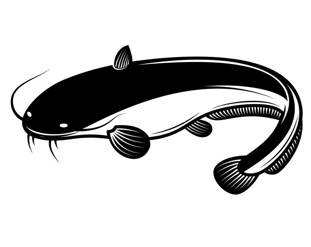 Catfish Clipart Black and White