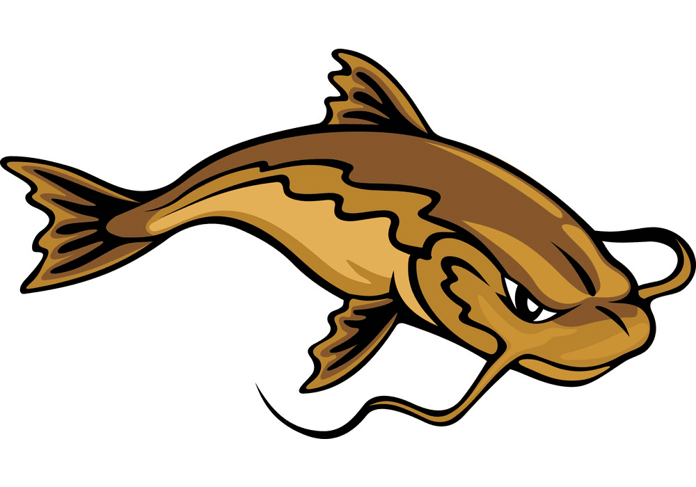 Catfish clipart png download