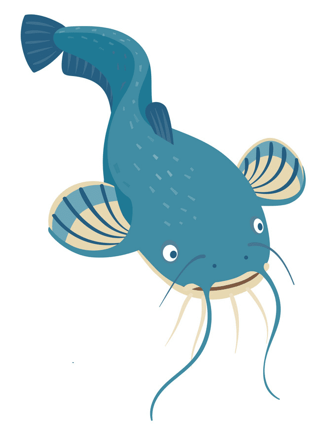 Catfish clipart png image