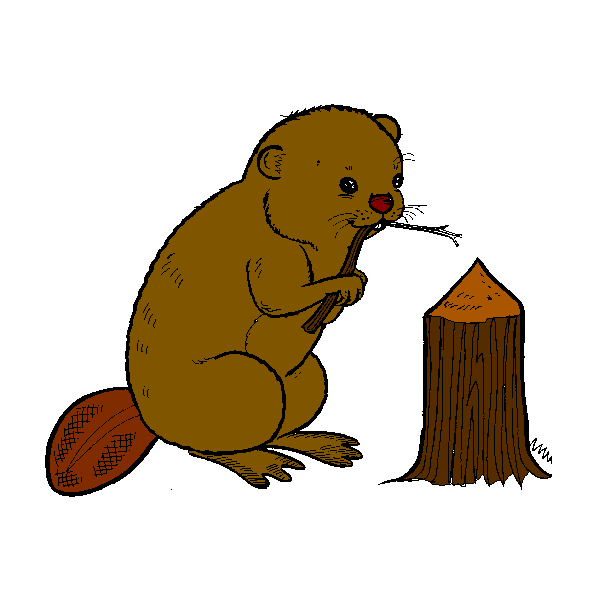 Clipart Beaver Png image