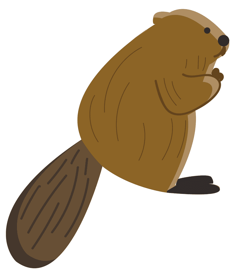 Clipart Beaver
