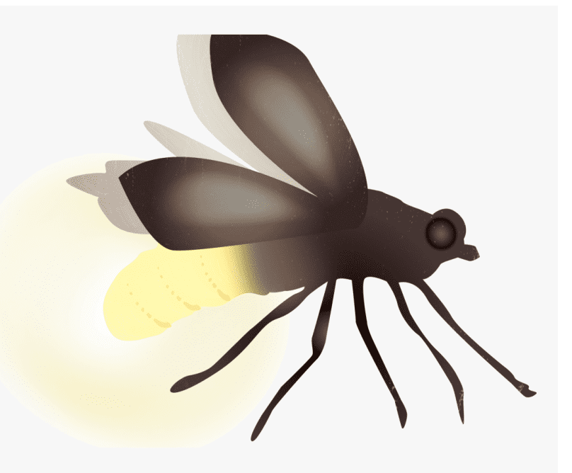 Clipart Firefly For Free