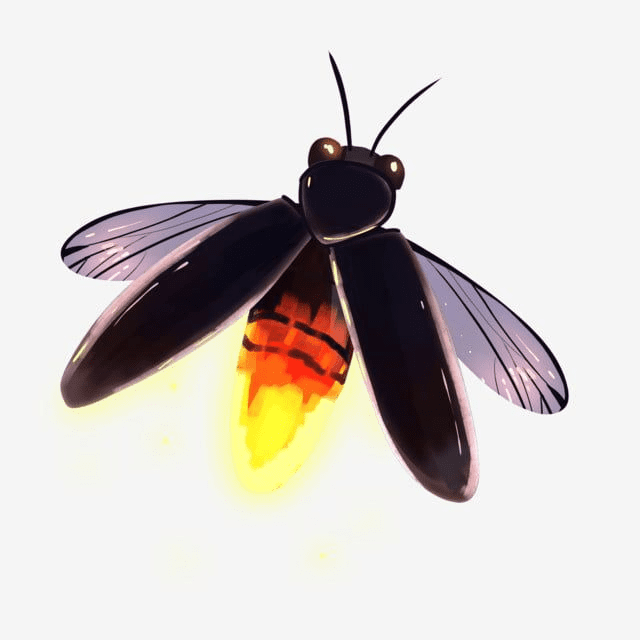 Clipart Firefly Free