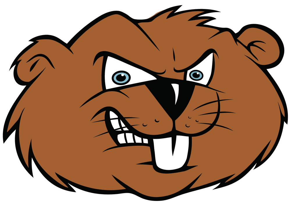 Download Beaver clipart images