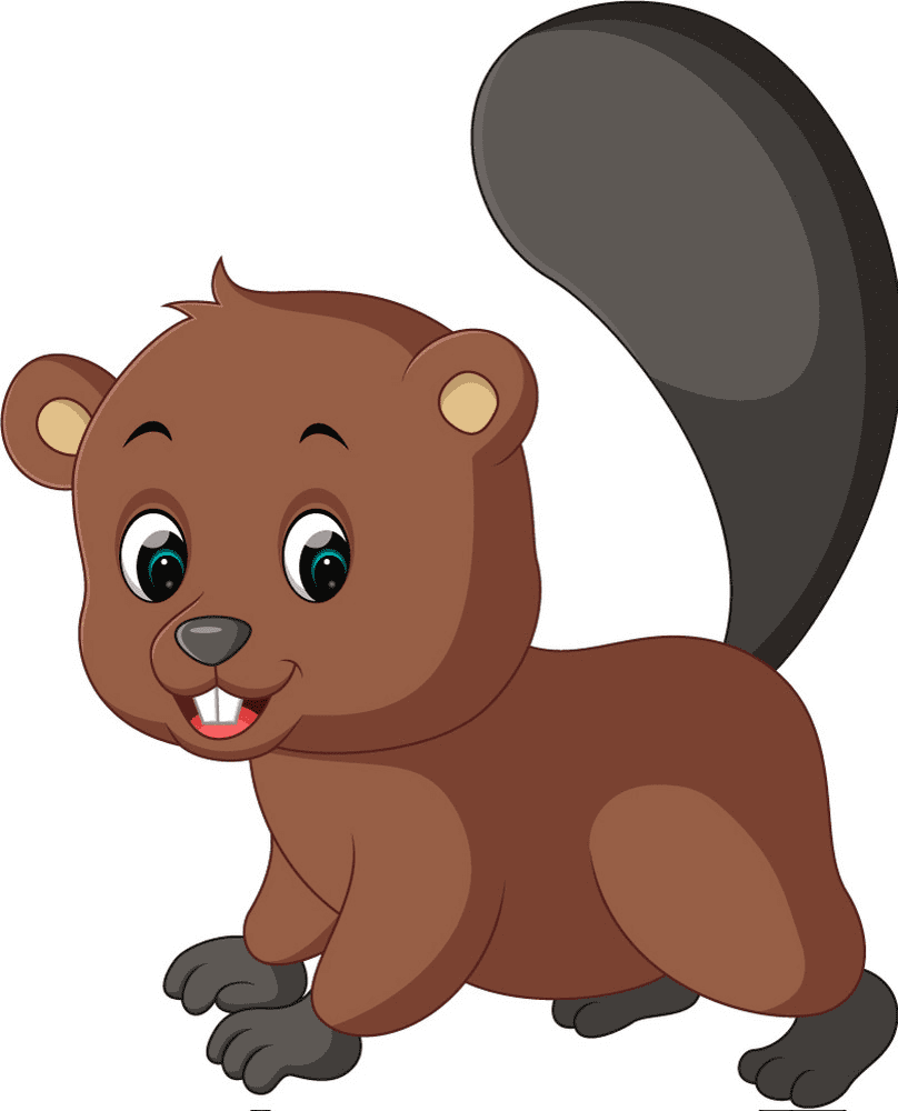 Download Beaver clipart