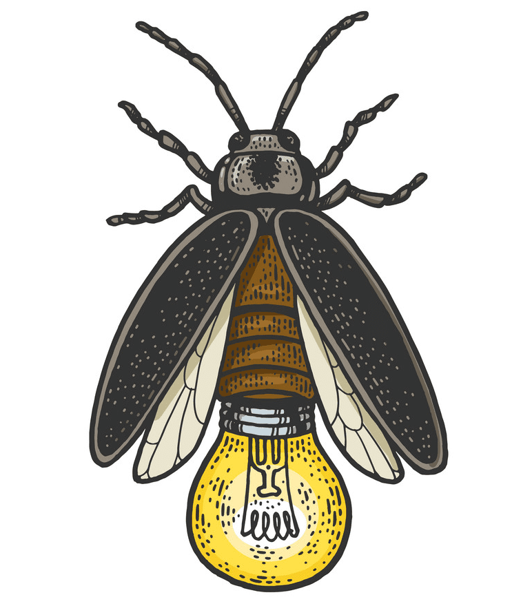 Download Firefly clipart