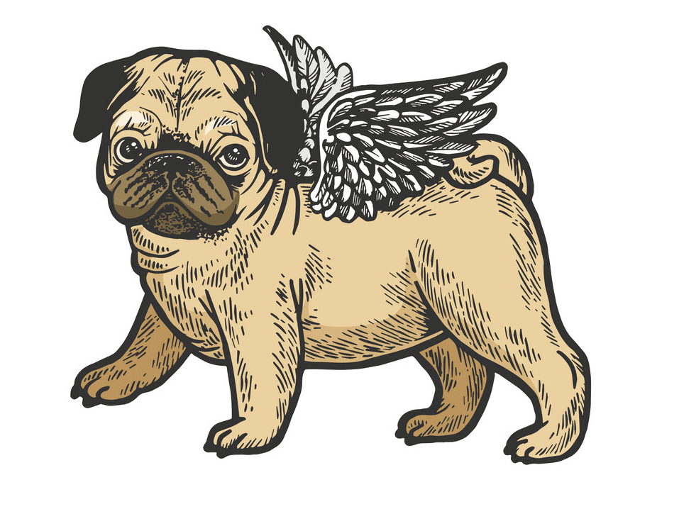 Download Pug clipart free