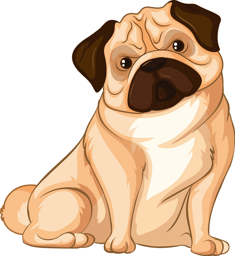 Download Pug clipart image