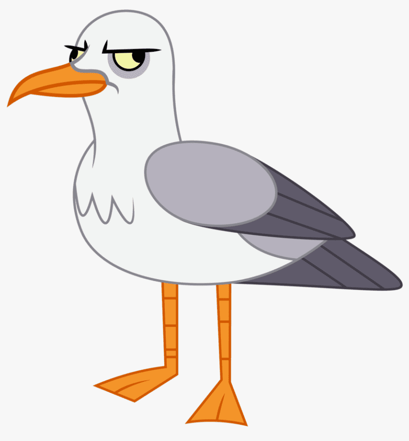 Download Seagull Clipart For Free