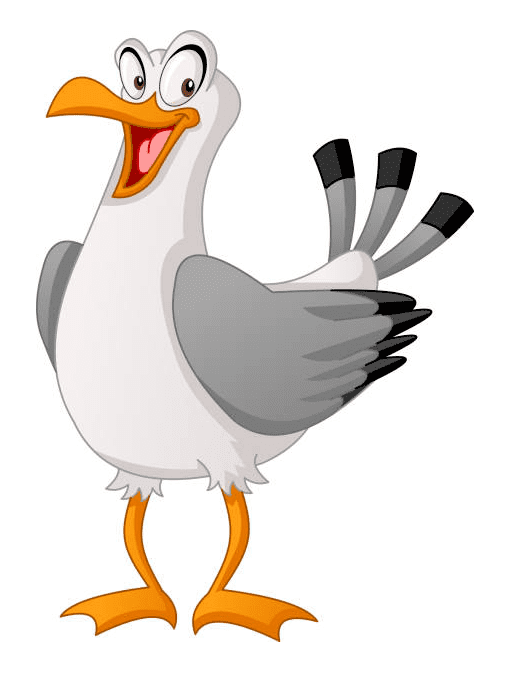 Download Seagull Clipart Free