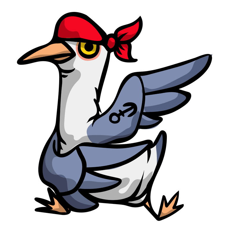 Download Seagull Clipart Image