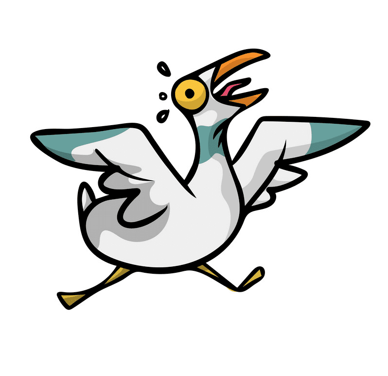 Download Seagull Clipart Images