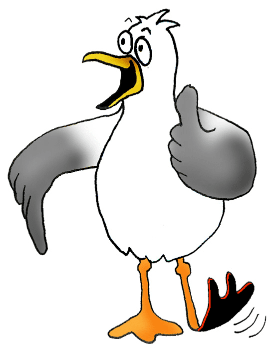Download Seagull Clipart Png