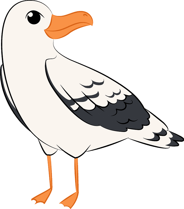 Download Seagull Clipart Transparent Background