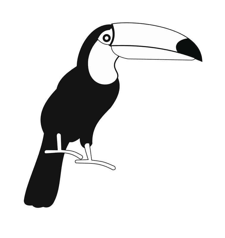 Download Toucan Clipart Black and White
