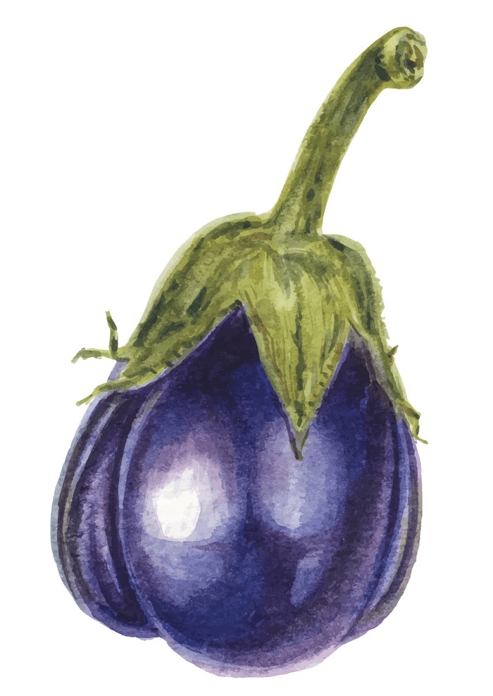 Eggplant clipart 10