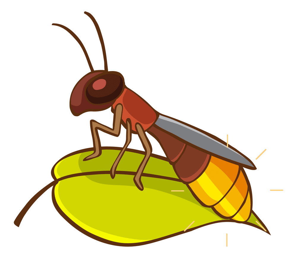 Firefly clipart picture
