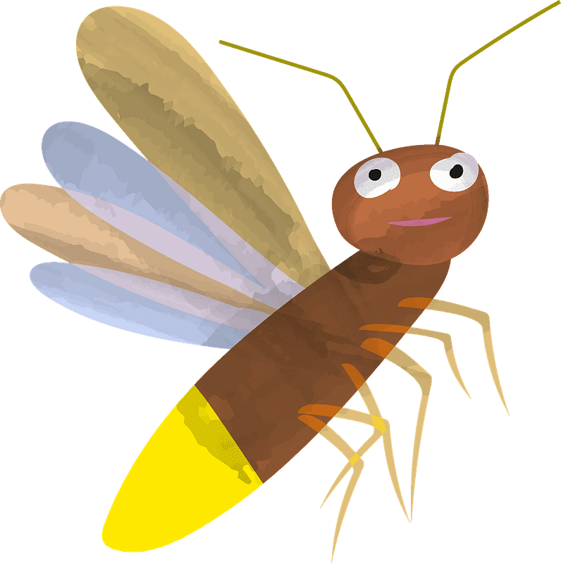 Firefly clipart transparent background