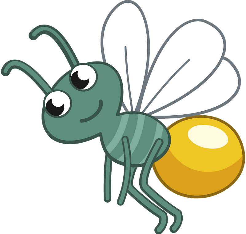 Firefly clipart transparent download