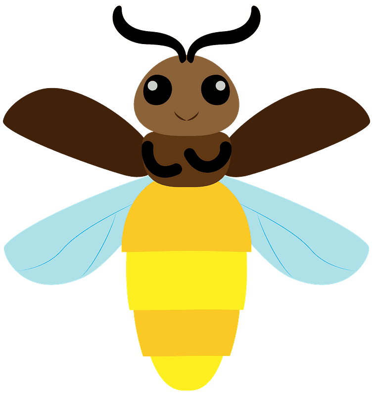 Firefly clipart transparent image
