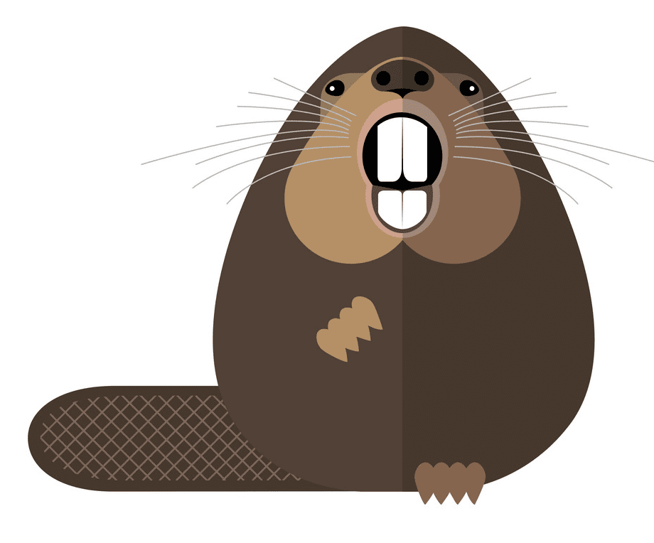 Free Beaver clipart download