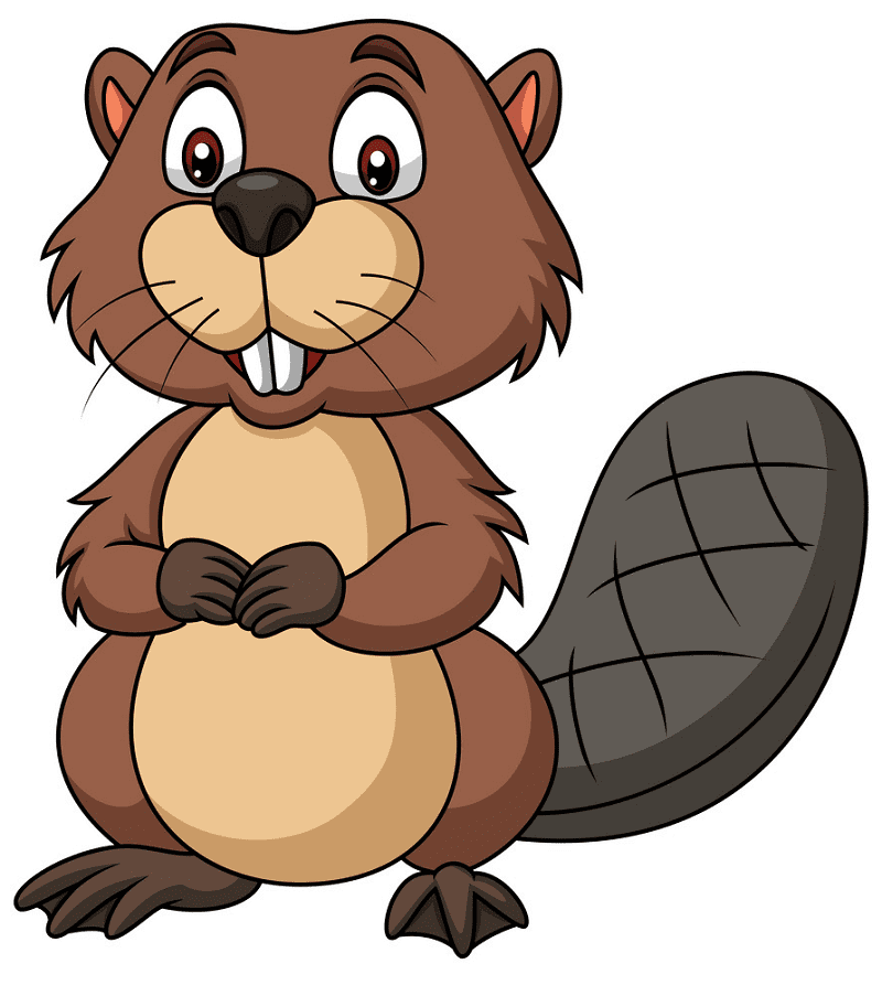 Free Beaver clipart png