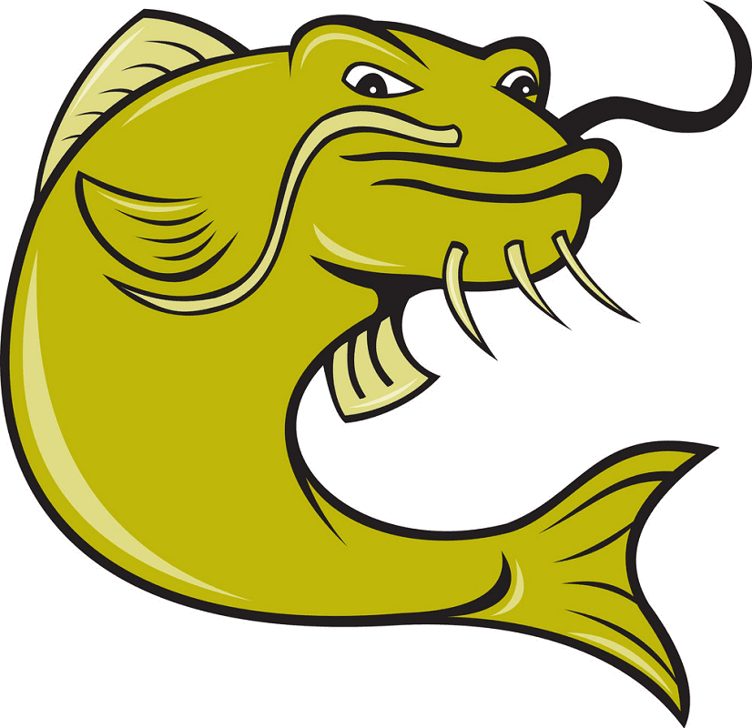 Free Catfish clipart download