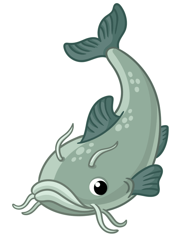Free Catfish clipart images
