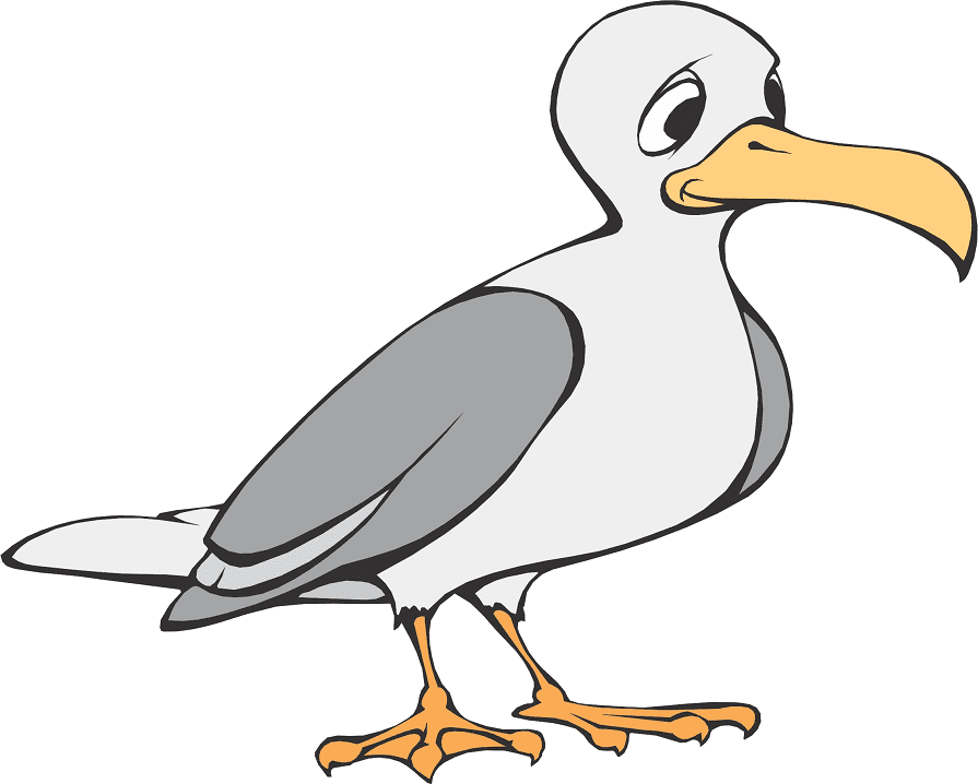 Free Download Seagull Clipart